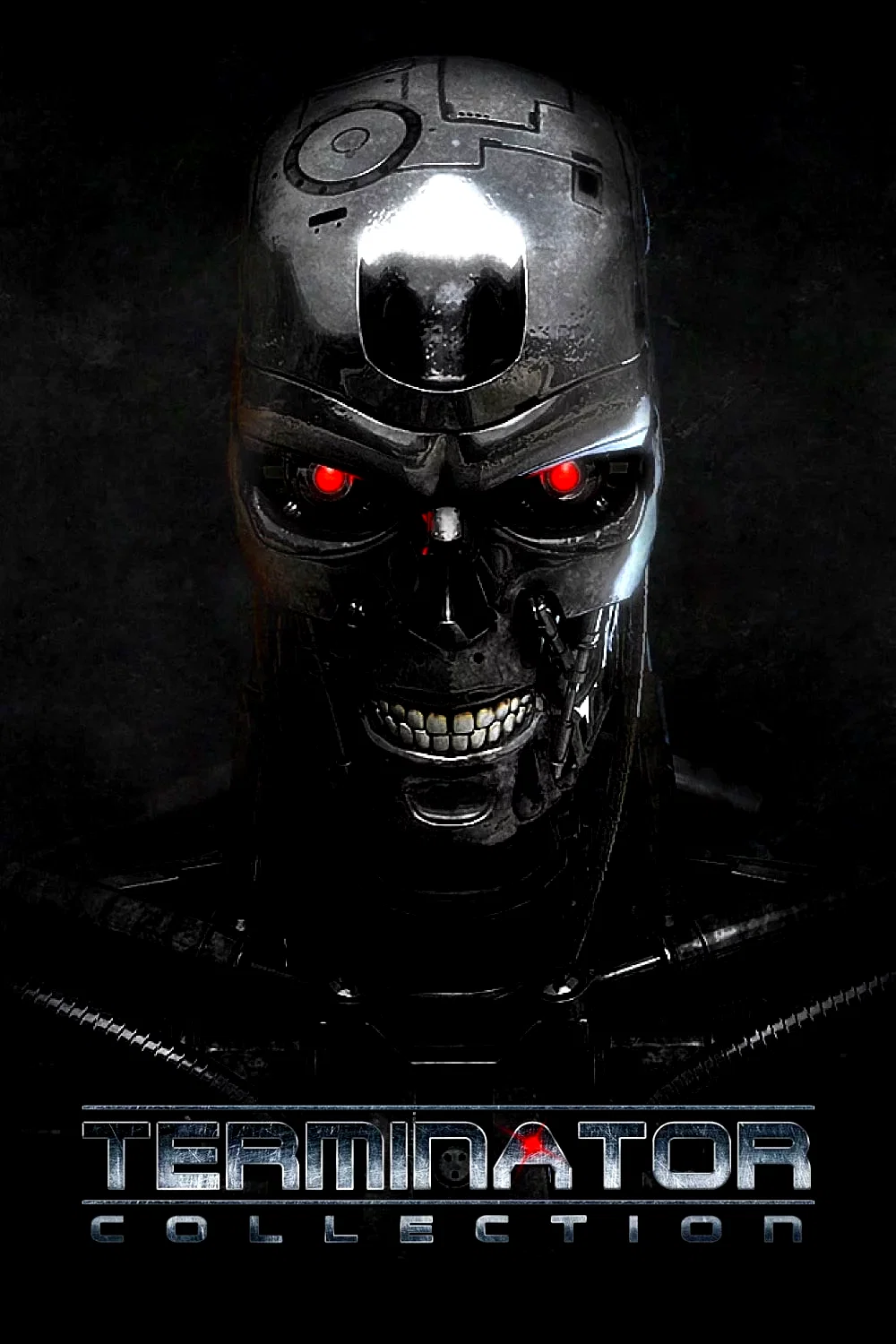 Affiche de la collection : Terminator - Saga