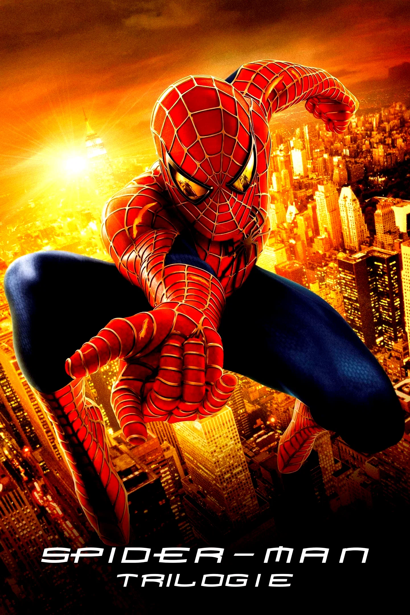 Affiche de la collection : Spider-Man - Saga