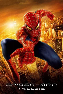 Affiche de la collection : Spider-Man - Saga