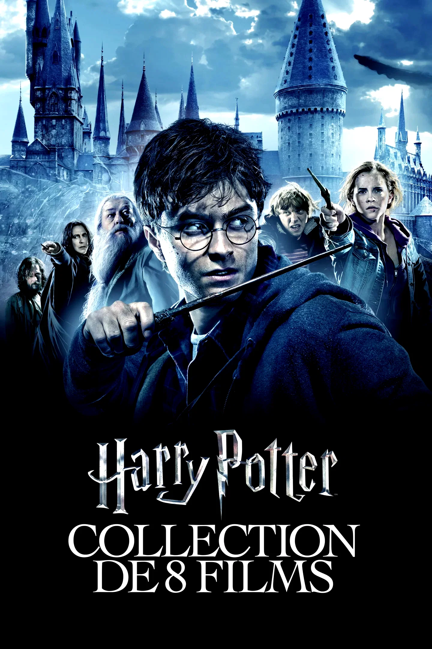 Affiche de la collection : Harry Potter - Saga