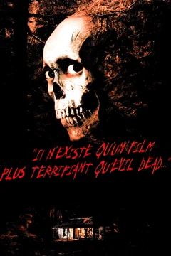 Affiche de la collection : Evil Dead - Saga