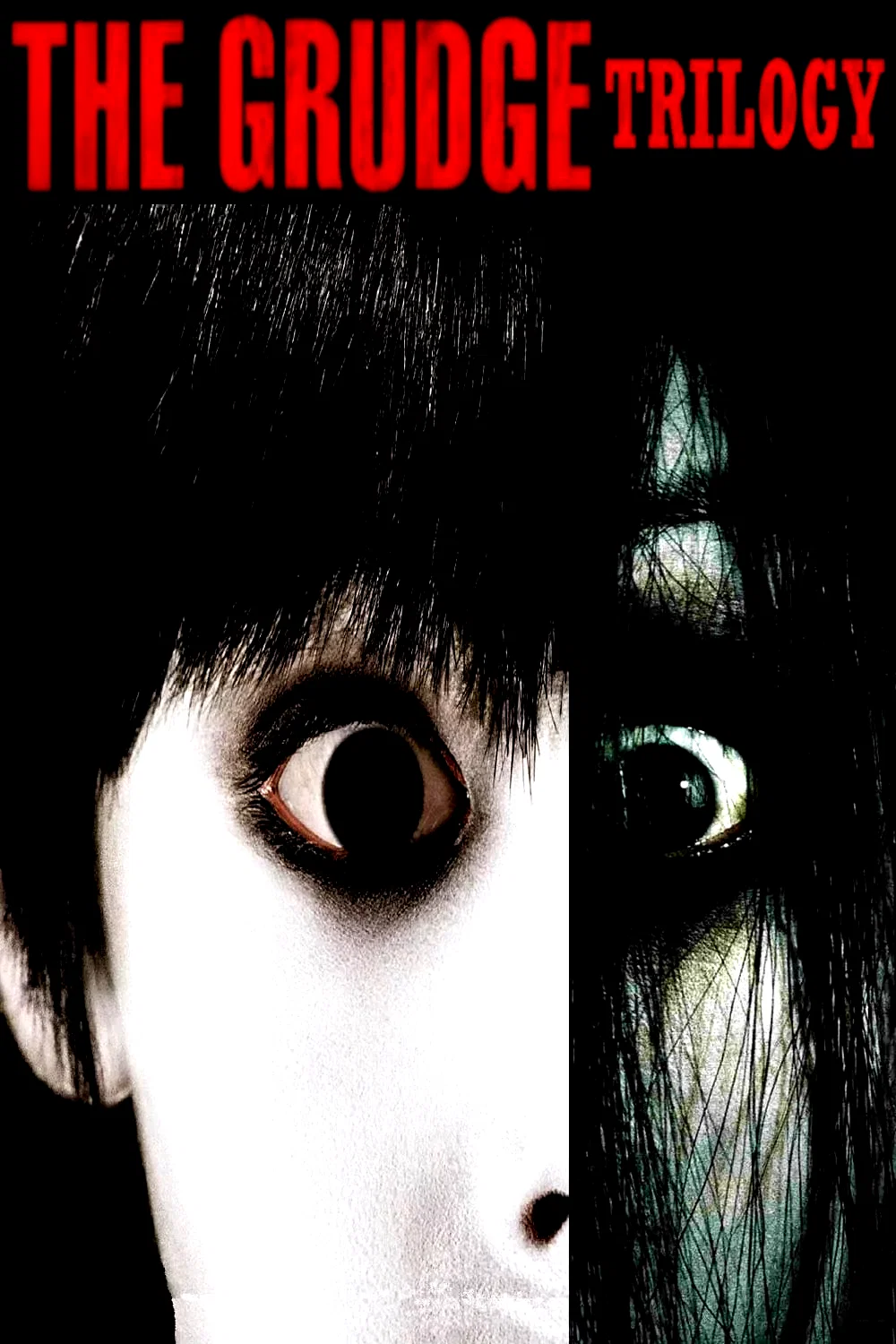 Affiche de la collection : The Grudge - Saga