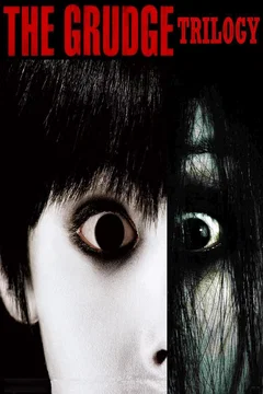 Affiche de la collection : The Grudge - Saga