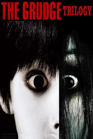 Affiche de la saga : The Grudge - Saga