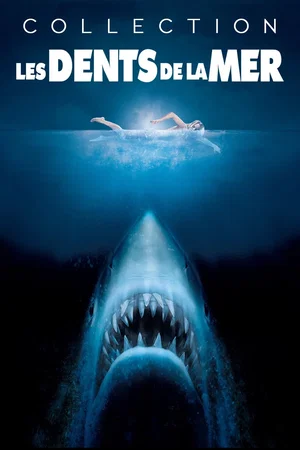 Affiche de la saga : Les Dents de la mer - Saga