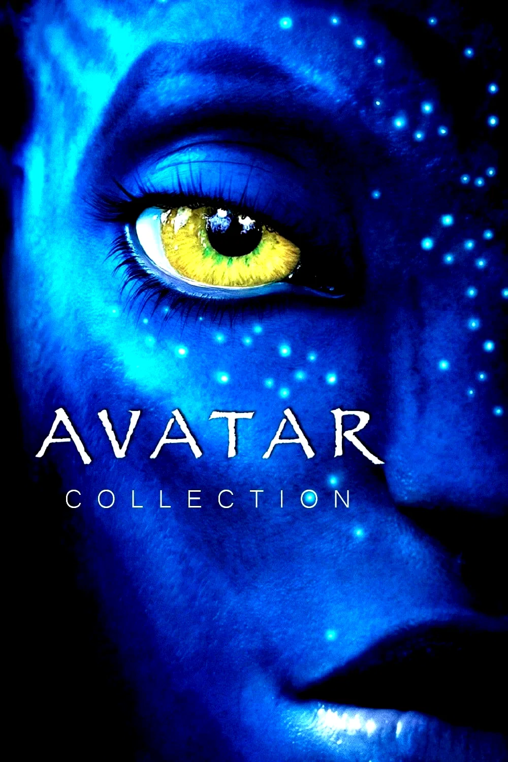 Affiche de la collection : Avatar - Saga
