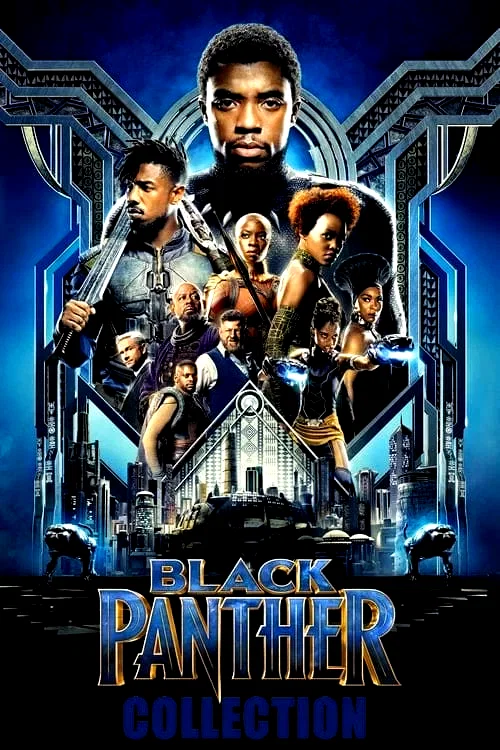 Affiche de la collection : Black Panther - Saga
