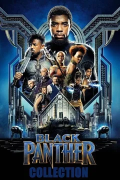 Affiche de la collection : Black Panther - Saga