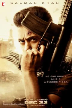 Affiche de la collection Tiger - Saga