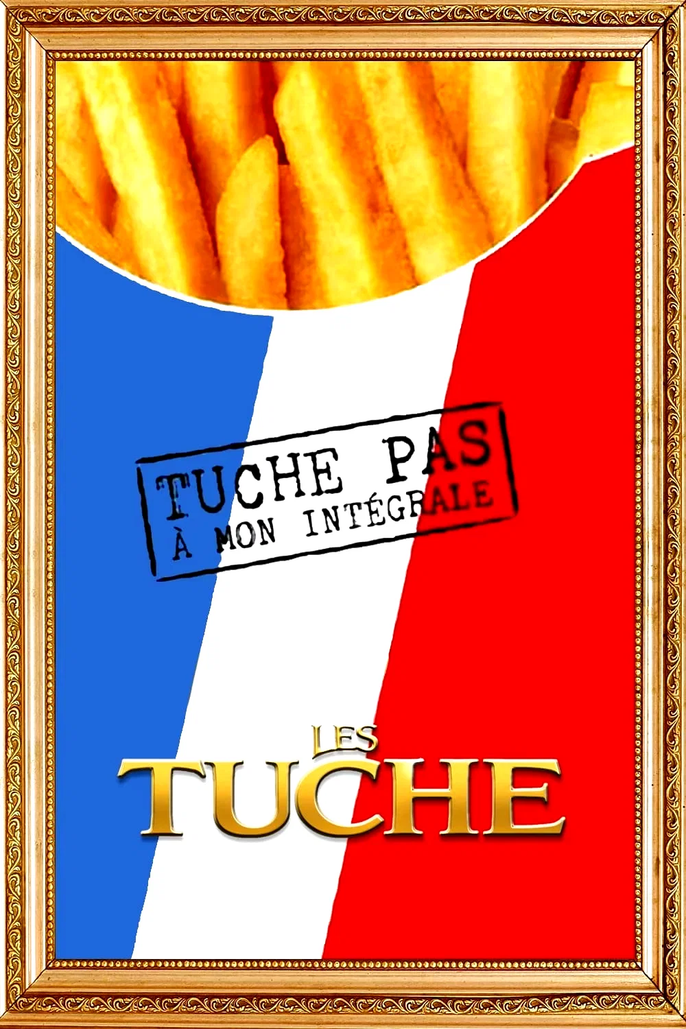 Affiche de la collection : Les Tuche - Saga