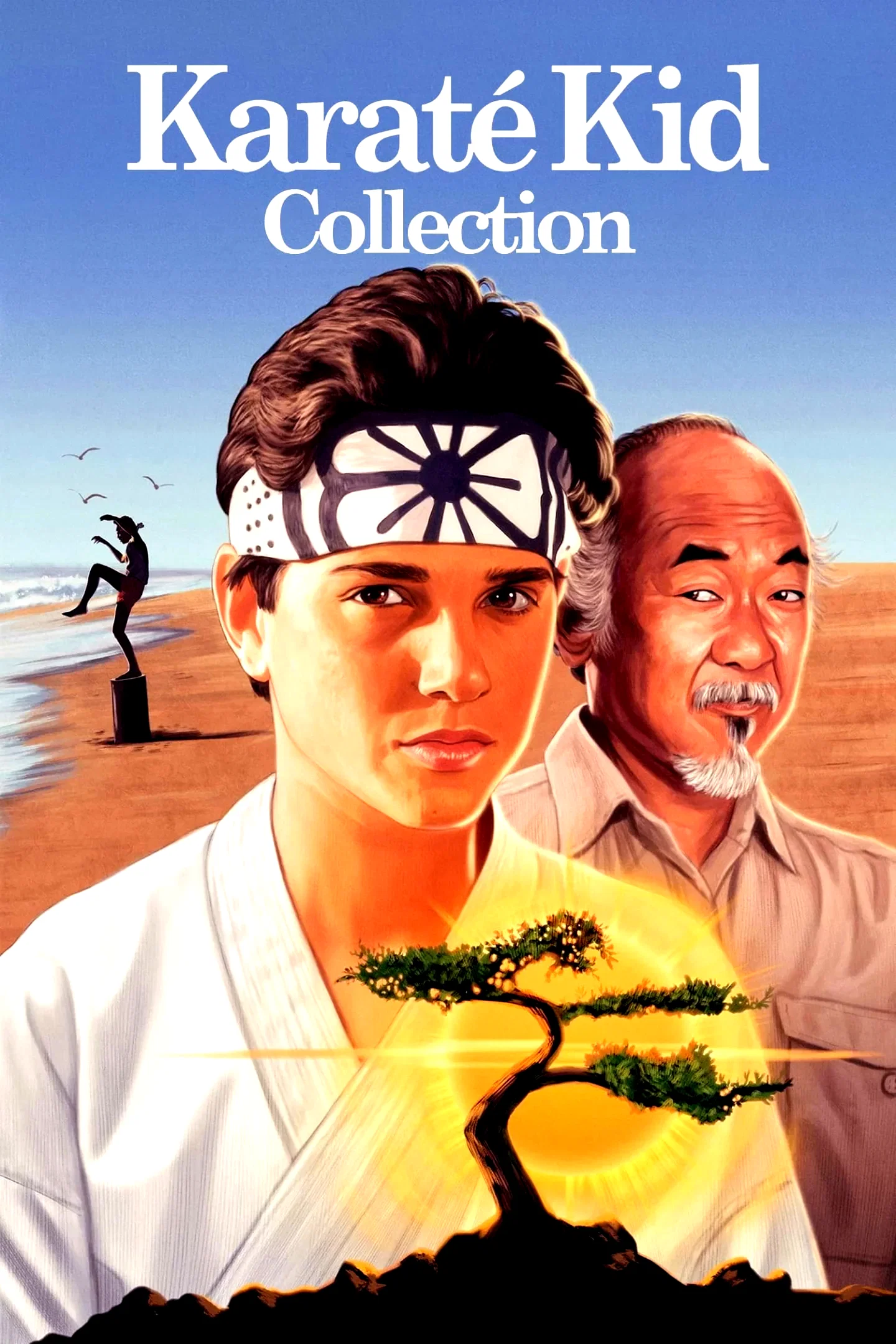 Affiche de la collection : Karaté Kid - Saga