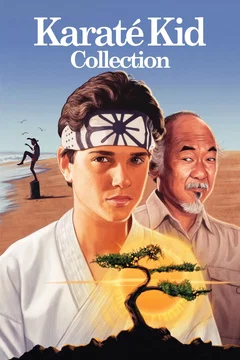 Affiche de la collection : Karaté Kid - Saga