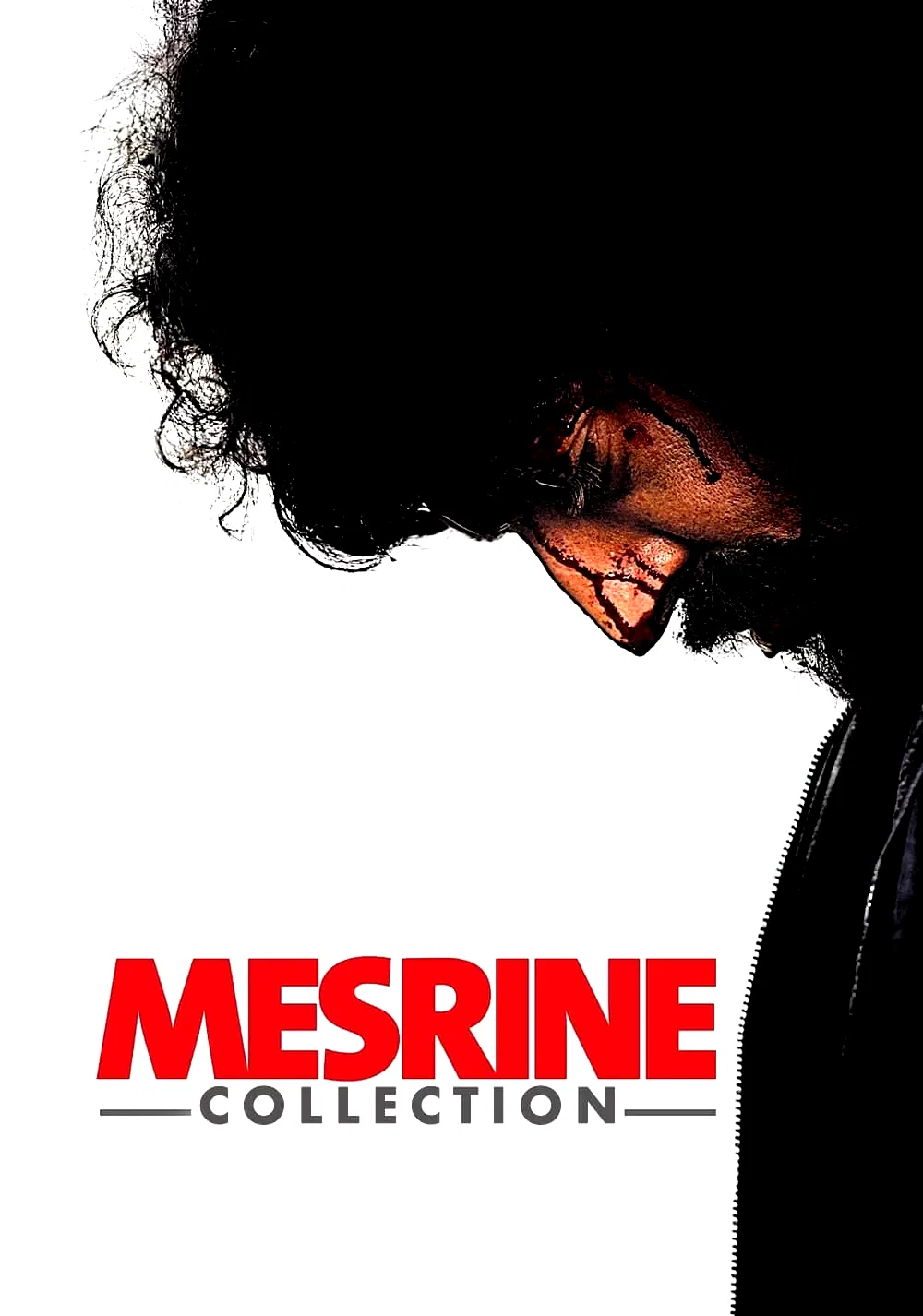 Affiche de la collection : Mesrine - Saga