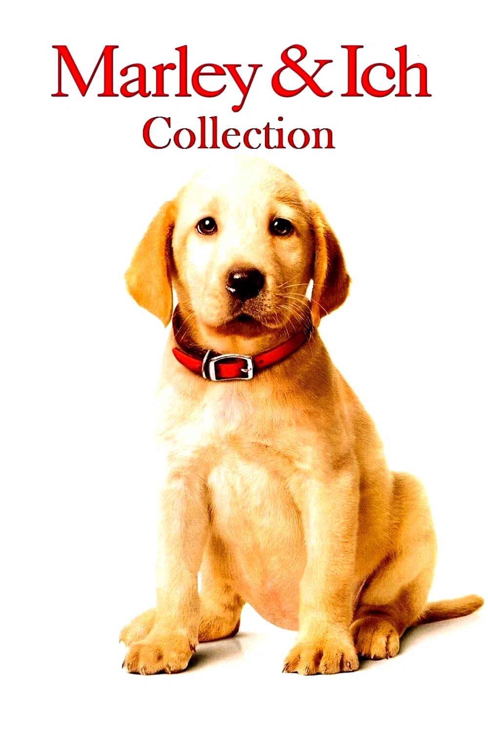 Affiche de la collection : Marley & moi - Saga