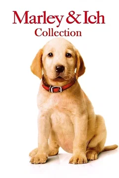Affiche de la collection Marley & moi - Saga