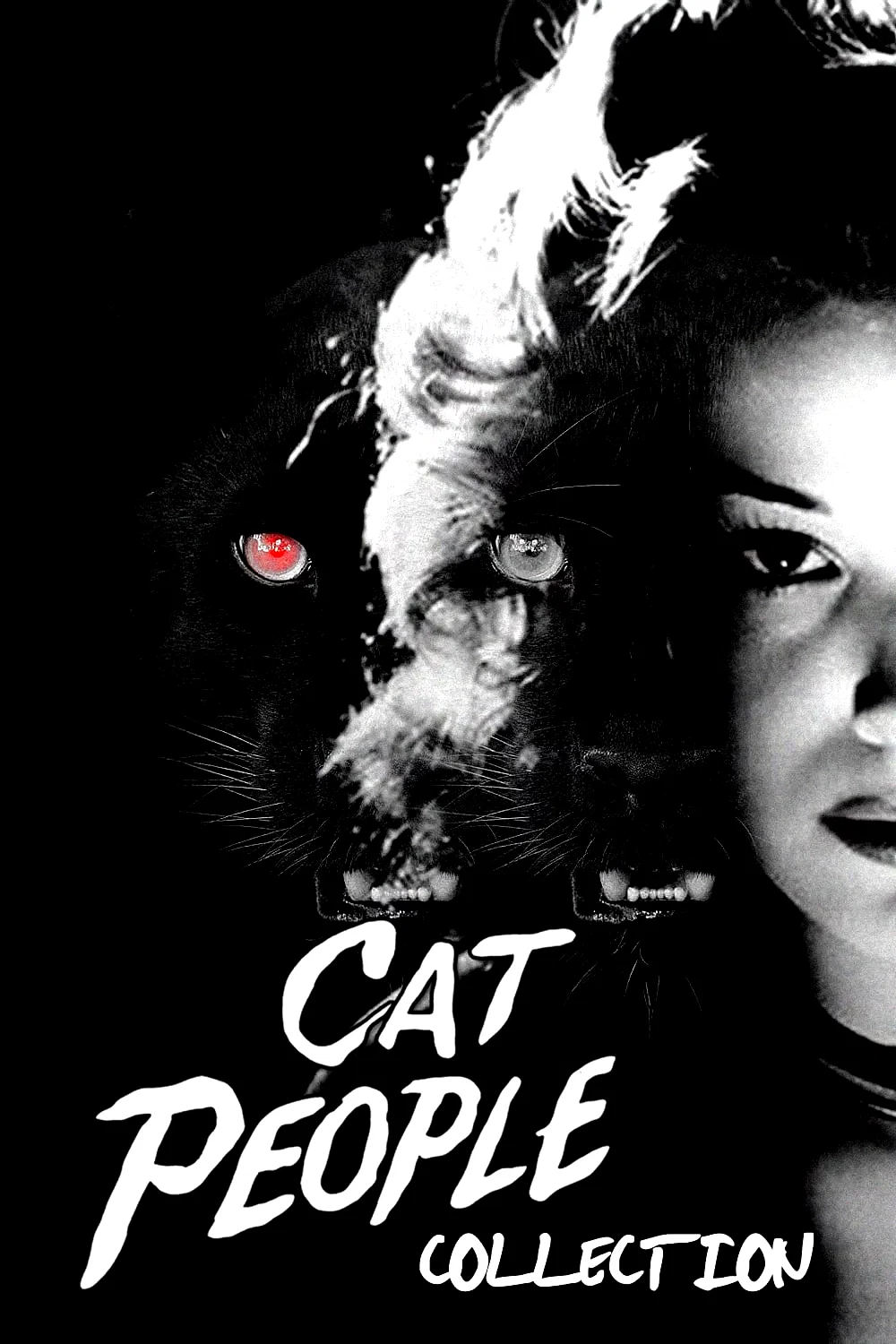 Affiche de la collection : La Féline - Saga