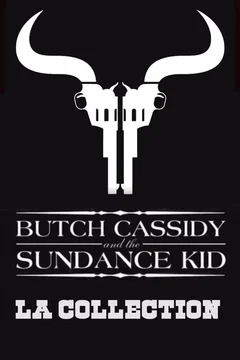 Affiche de la collection Butch Cassidy et le Kid - Saga