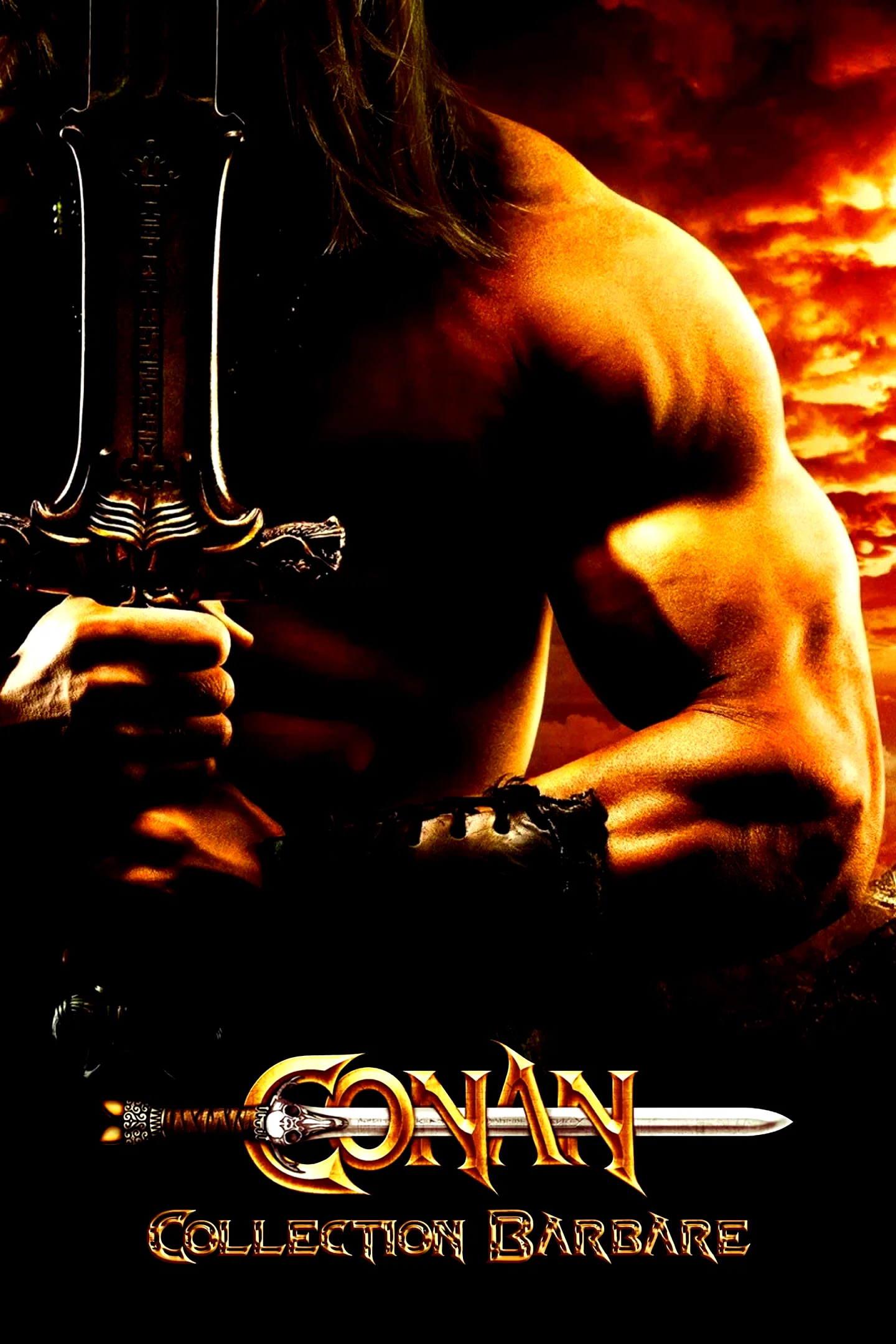 Affiche de la collection : Conan le Barbare - Saga