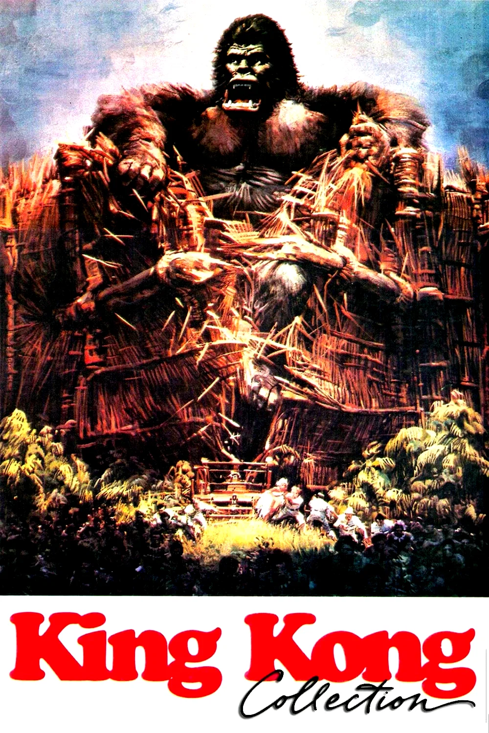 Affiche de la collection : King Kong (1976) - Saga