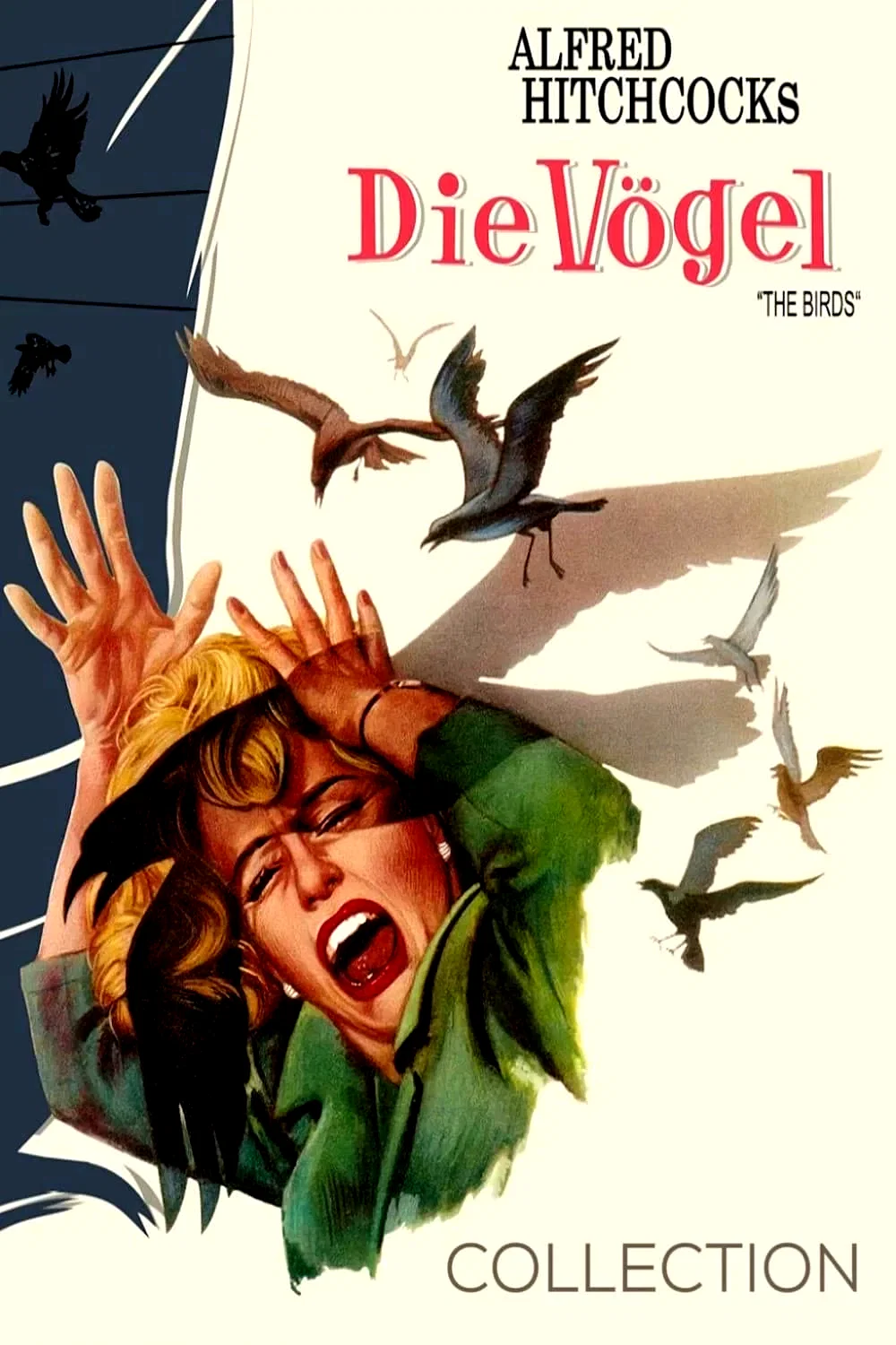 Affiche de la collection : Les Oiseaux - Saga