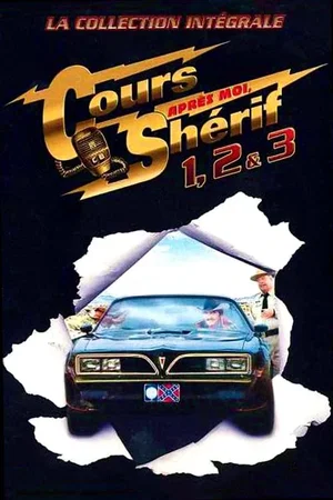 Affiche de la saga : Cours après moi Shérif - Saga