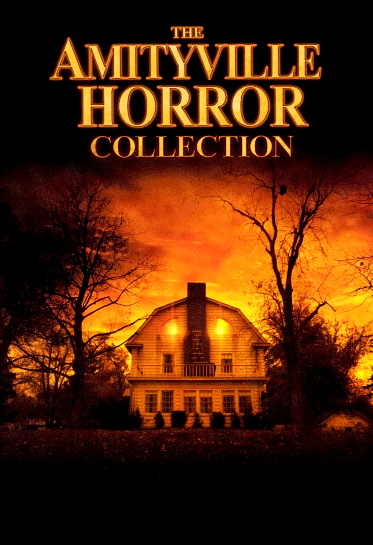 Affiche de la collection : Amityville - Saga