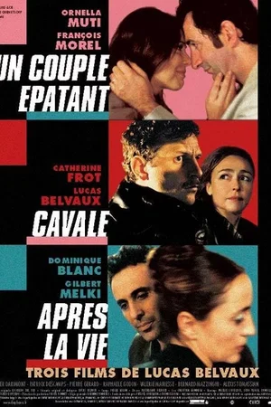 Affiche de la saga : Un couple épatant / Cavale / Après la vie - Saga