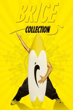 Affiche de la collection Brice de Nice - Saga