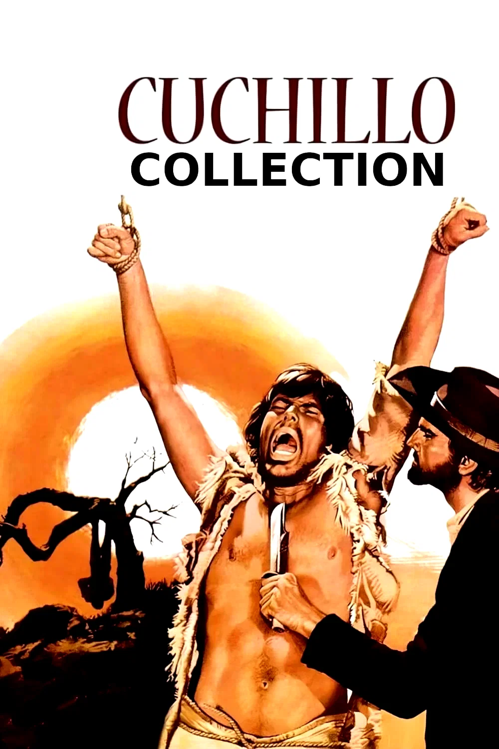 Affiche de la collection : Cuchillo - Saga
