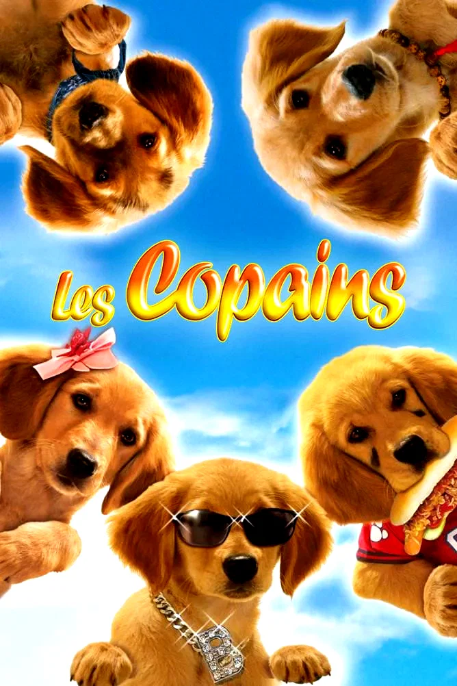 Affiche de la collection : Les Copains - Saga