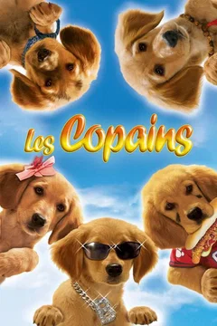 Affiche de la collection Les Copains - Saga