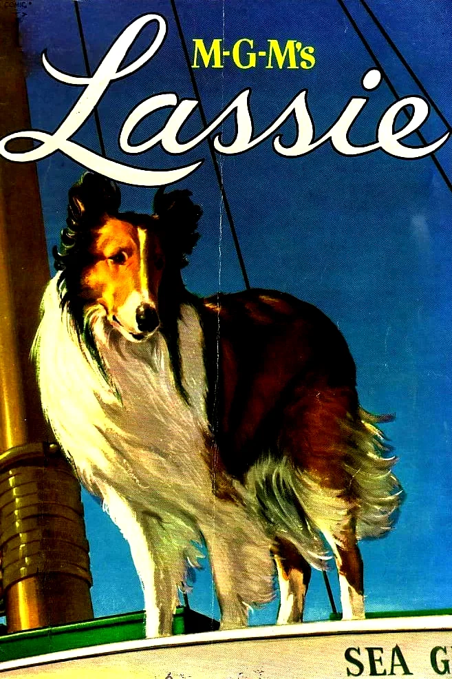 Affiche de la collection : MGM's Lassie Collection