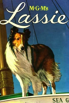 Affiche de la collection MGM's Lassie Collection