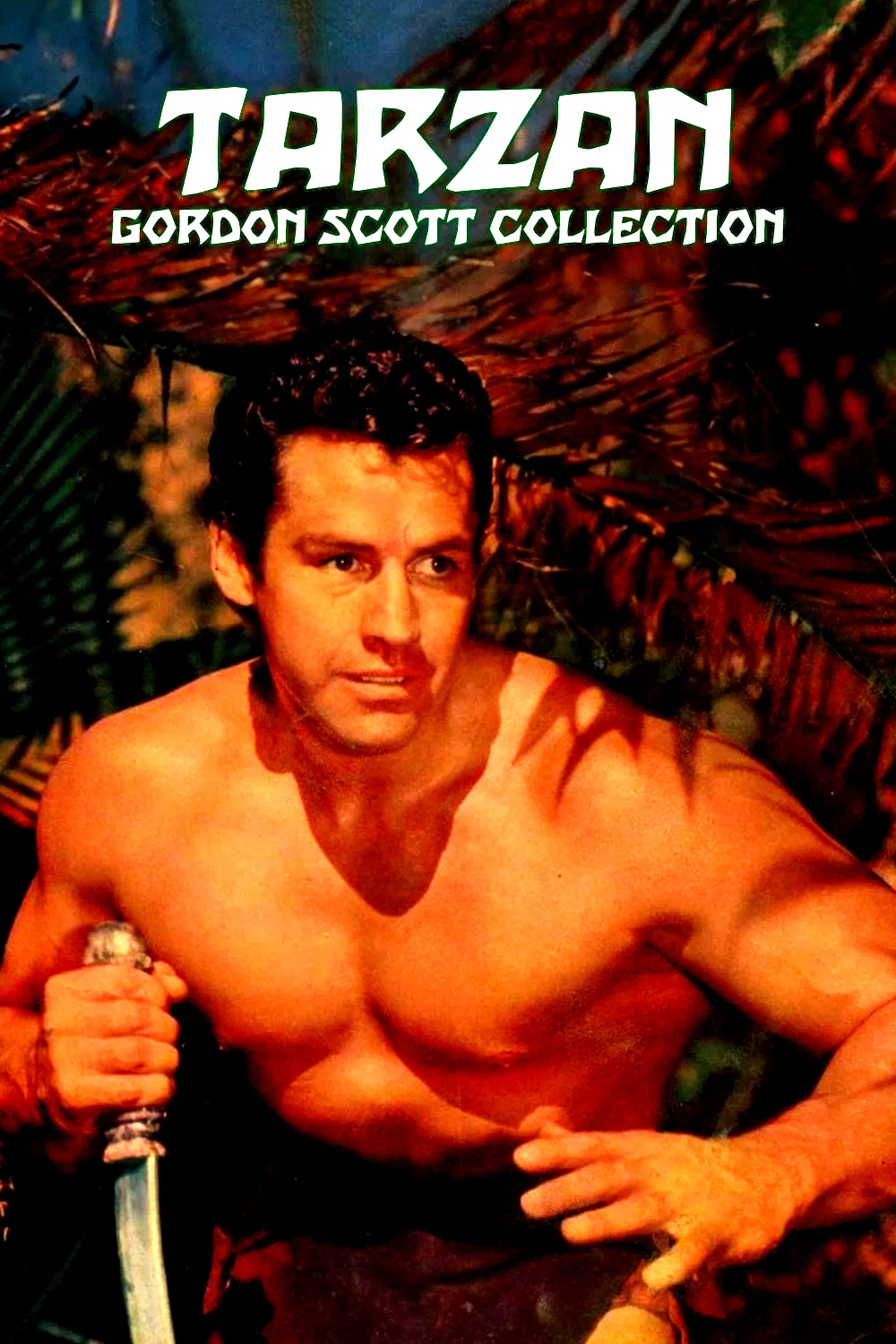 Affiche de la collection : Tarzan (Gordon Scott) - Saga