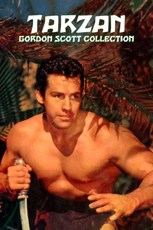 Affiche de la saga : Tarzan (Gordon Scott) - Saga