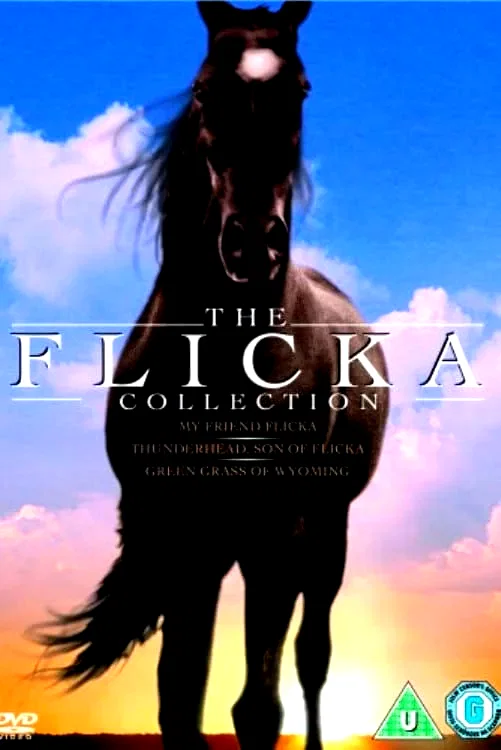 Affiche de la collection : Mon Amie Flicka - Saga