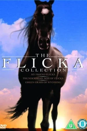 Affiche de la saga : Mon Amie Flicka - Saga