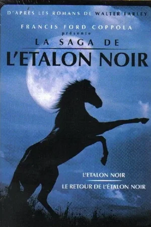 Affiche de la saga : L'Étalon noir - Saga
