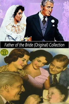 Affiche de la collection Le père de la mariée - Saga