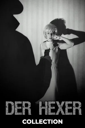 Affiche de la saga : The Ringer Collection