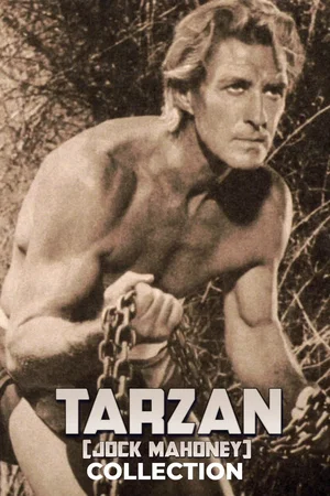 Affiche de la saga : Tarzan (Jack Mahoney) - Saga