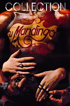 Affiche de la collection Mandingo Collection