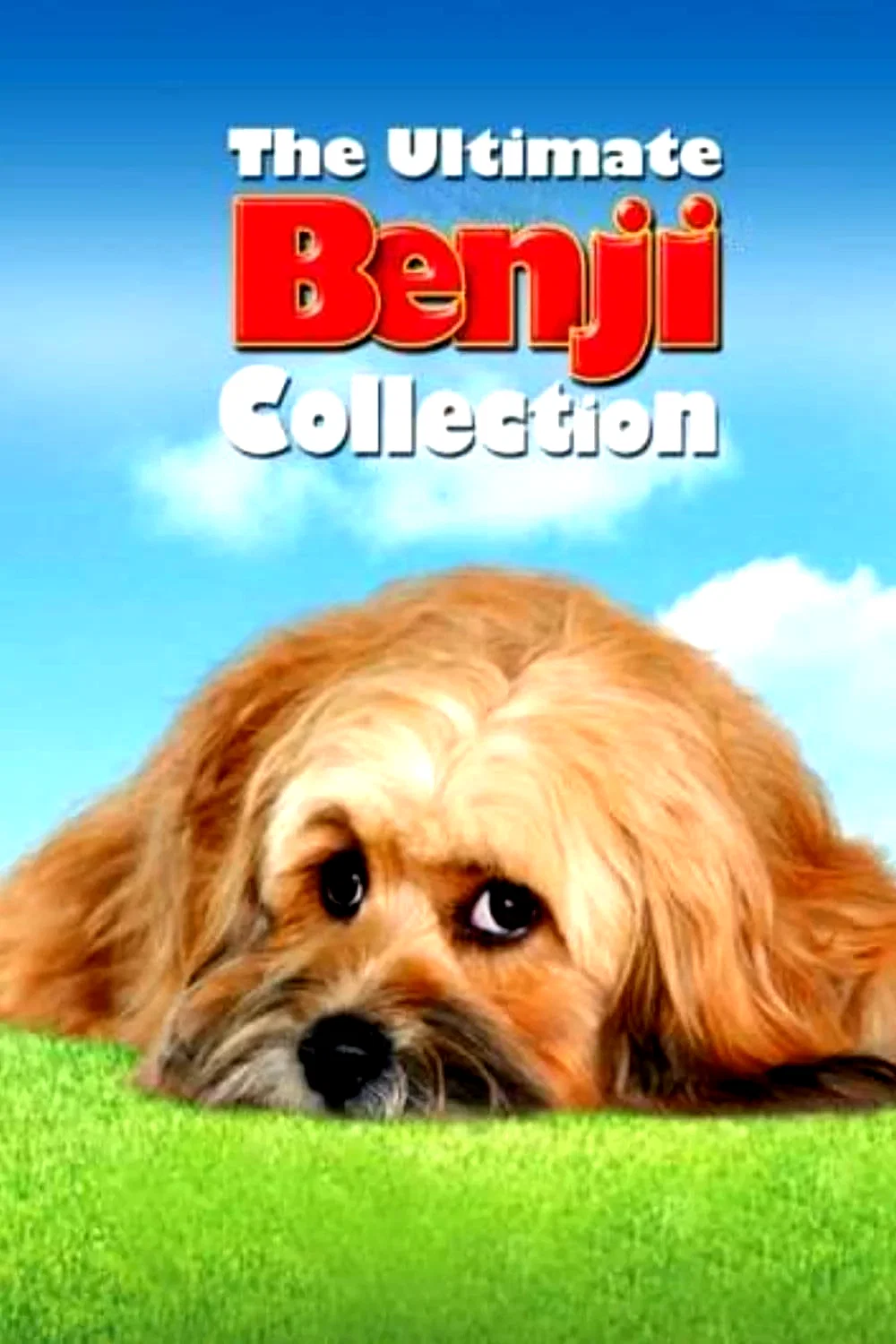 Affiche de la collection : Benji - Saga