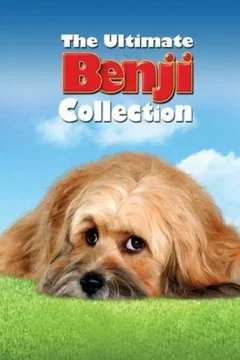 Affiche de la collection : Benji - Saga