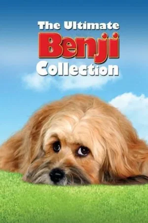 Affiche de la saga : Benji - Saga