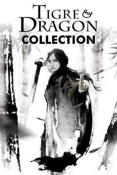 Affiche de la collection : Tigre et Dragon - Saga