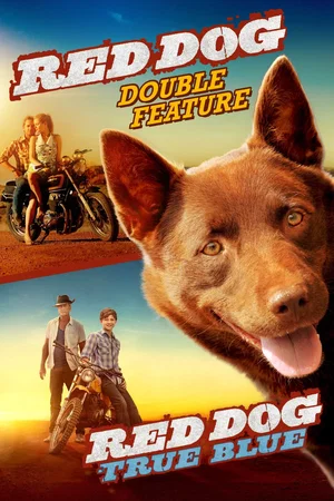 Affiche de la saga : Red Dog - Saga