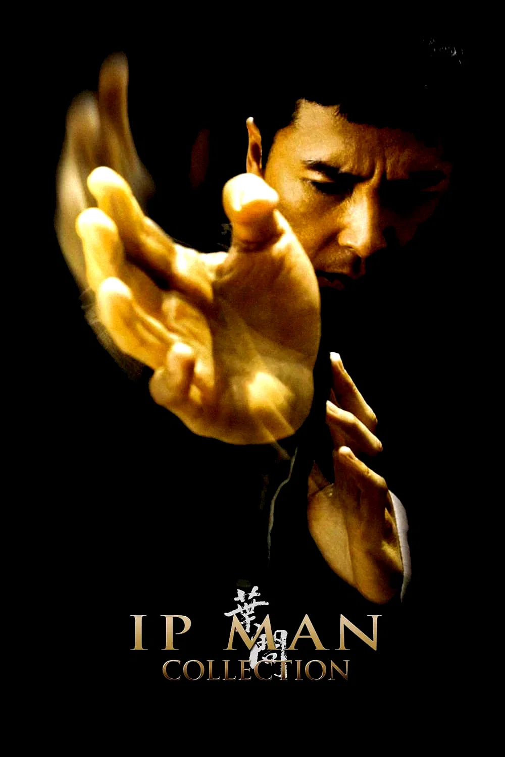 Affiche de la collection : Ip Man - Saga