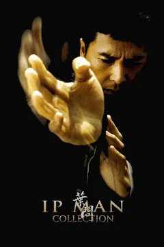 Affiche de la collection : Ip Man - Saga