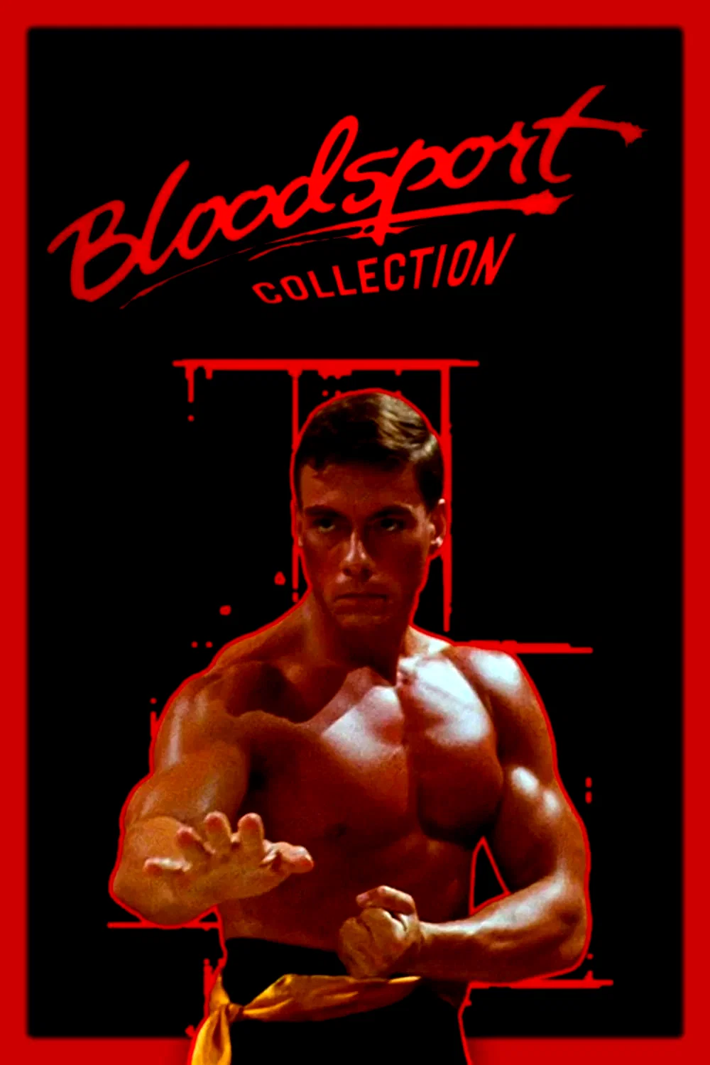 Affiche de la collection : Bloodsport - Saga